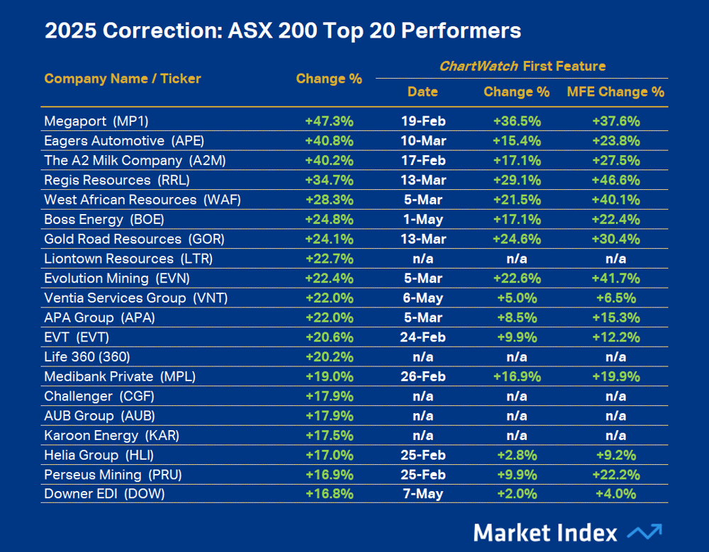 2025 Correction - ASX 200 Top 20 Performers