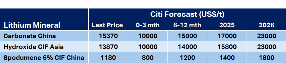 citi lithium price forecasts MI