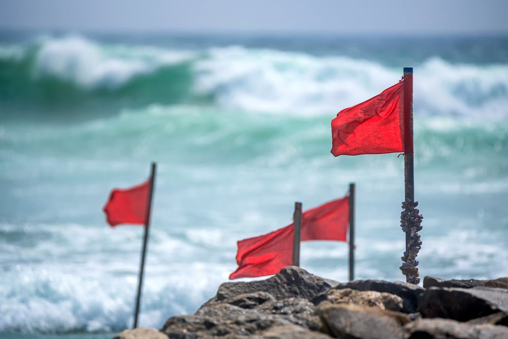 3 red flags from Appen's takeover offer