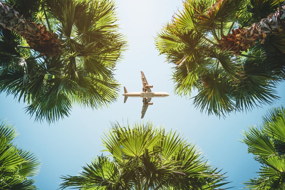 Webjet returns to profitability, expects to top pre-covid bookings by October 