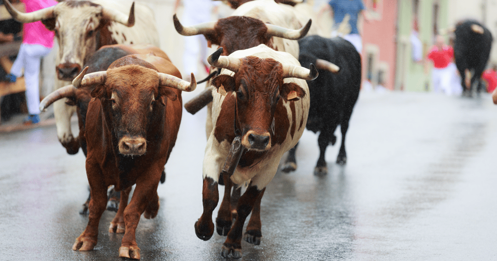 Stock market records are tumbling! The low-down on new Fed messaging and where rates are headed in 2024