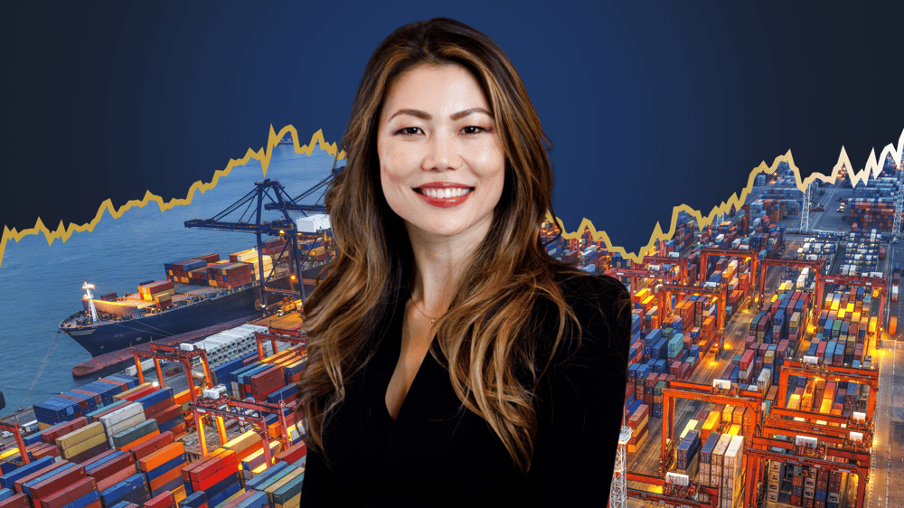 As Wisetech shares surge another 10%, is it worth the price?