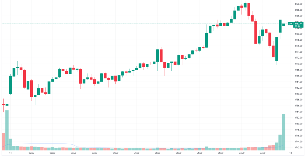 S&P 500 int