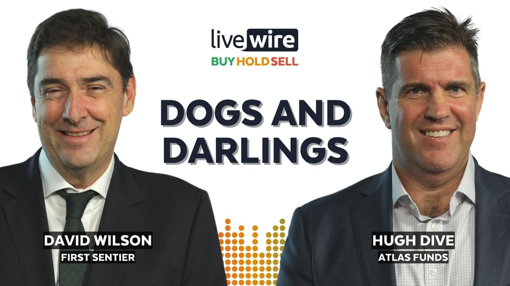 The dogs and darlings of the ASX in 2023 (and what to back in 2024)