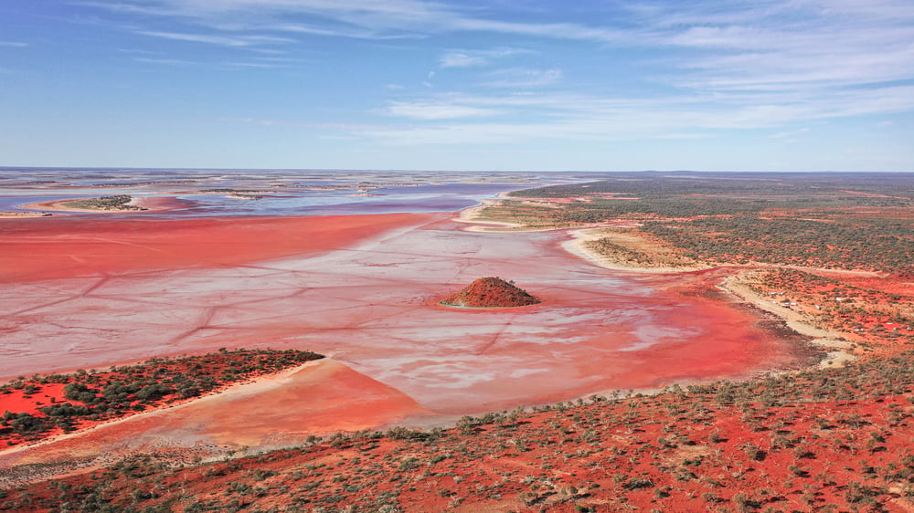 Short selling: Lithium shorts ease, Appen shorters cover