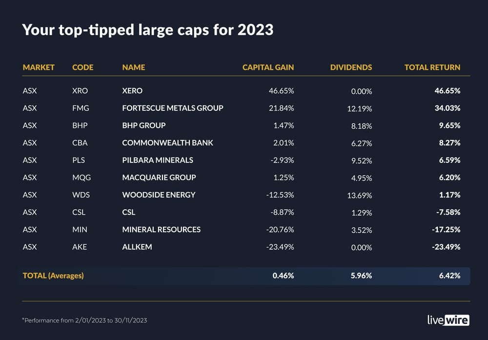 Your top-tipped large caps for 2023 (1)