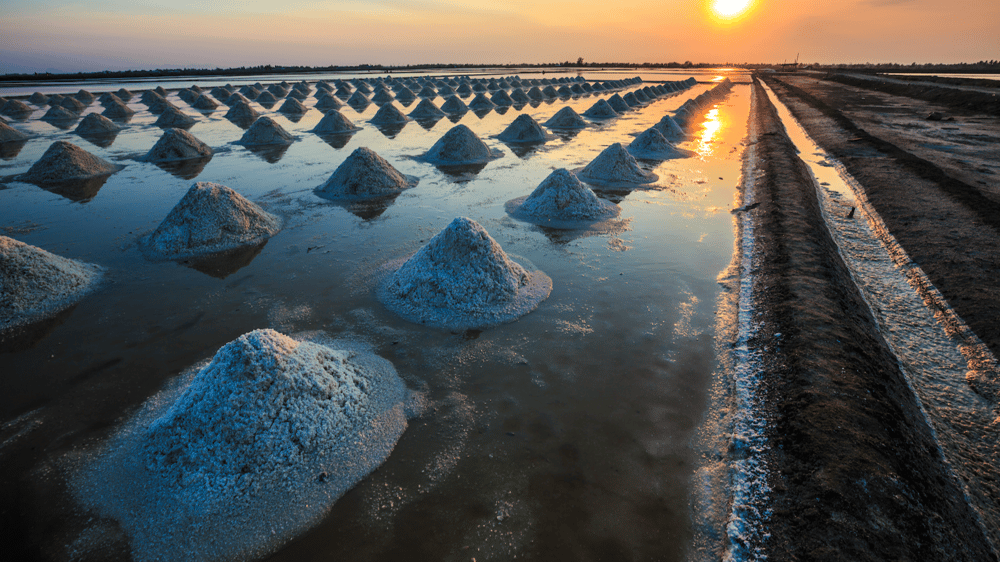 A beginner’s guide to battery metals (and 14 ways to invest)
