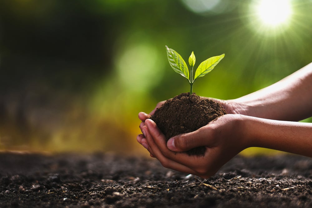 Why fertiliser prices are surging and 3 emerging ASX-listed players