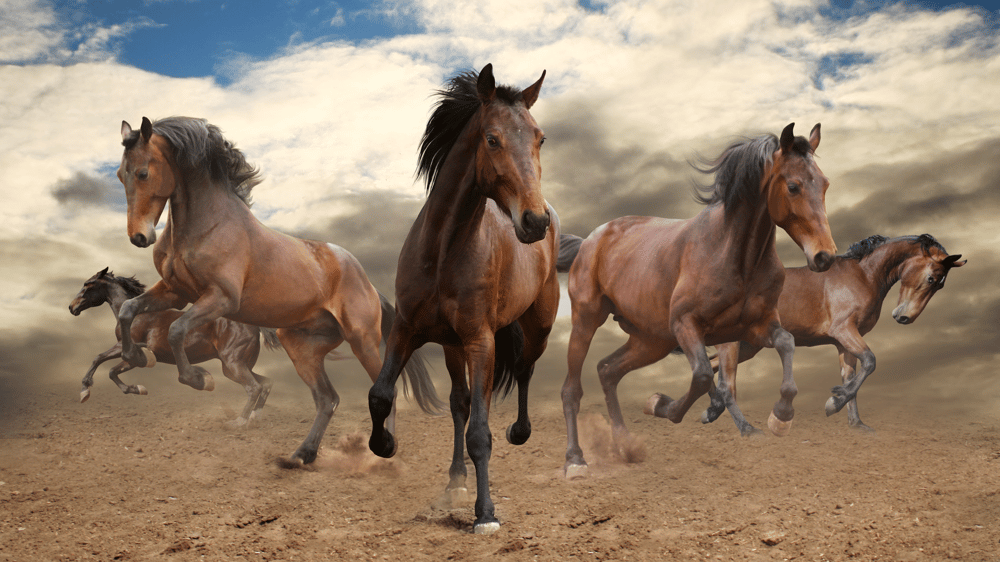Are the five horsemen of interest rates actually doing their job?