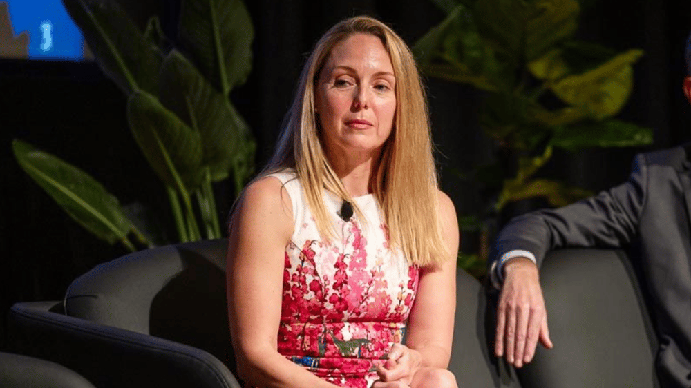 Hard or soft landing ... People are going to want to buy this company's product
