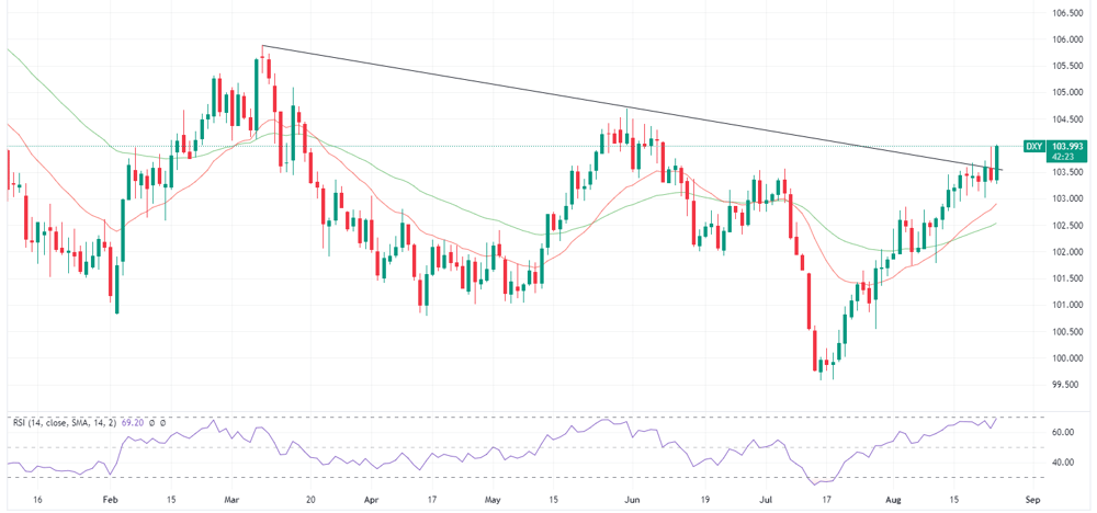 DXY 2023-08-25 08-17-36