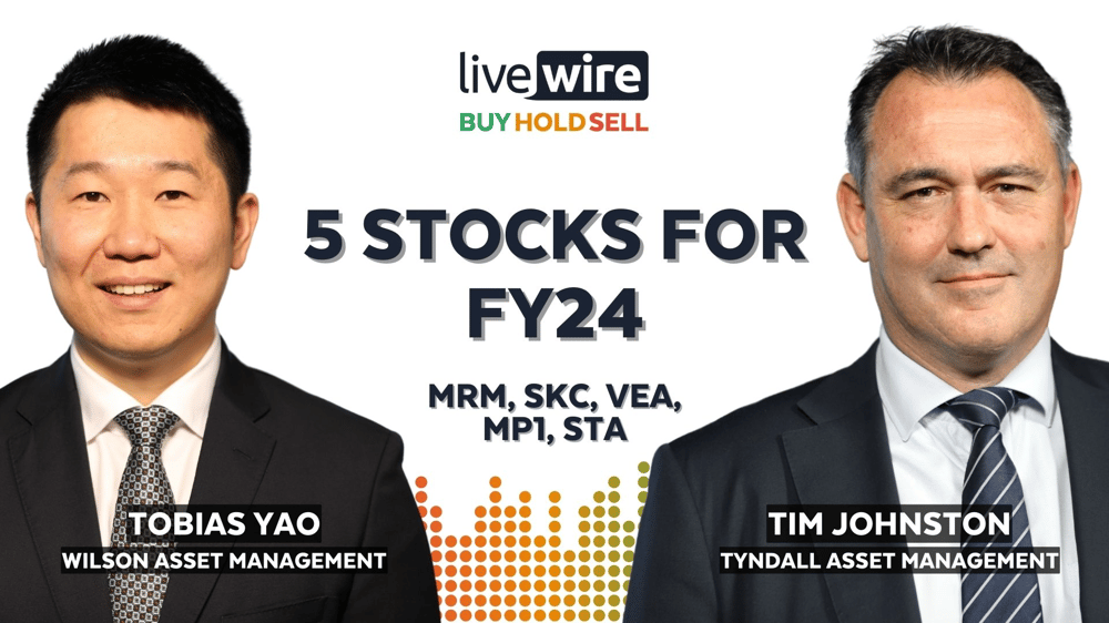 Buy Hold Sell: 5 growing small caps for FY24