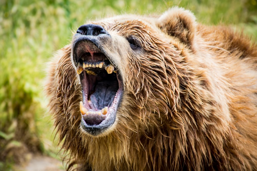 Which ASX stocks are shorters targeting and covering — Week 33