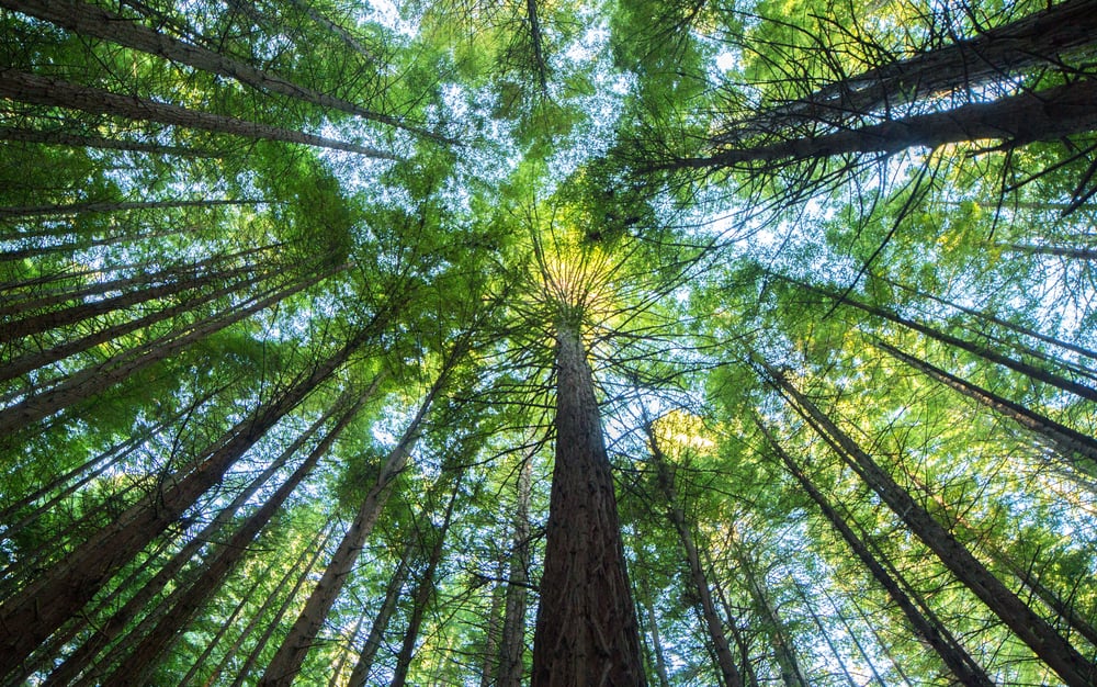 The Market Index survival guide to ASX reporting season 2023