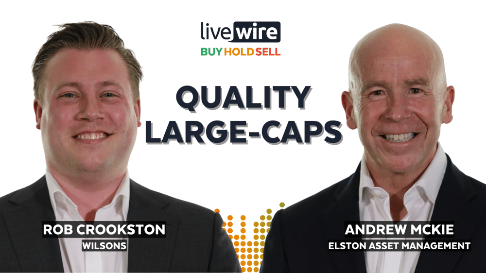 How to find the highest quality large-cap stocks on the ASX