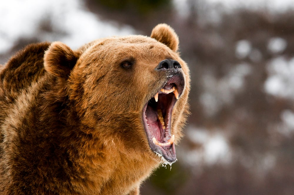 Which ASX stocks are shorters targeting and covering this week: Discretionary and Resources