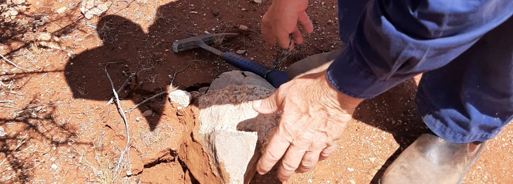 Liontown signs farm-in deal with WA lithium developer