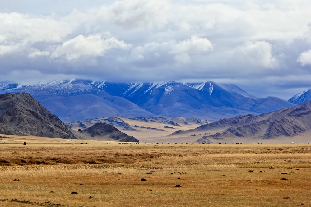 TMK finds strong coal bodies in Mongolian Gobi Basin