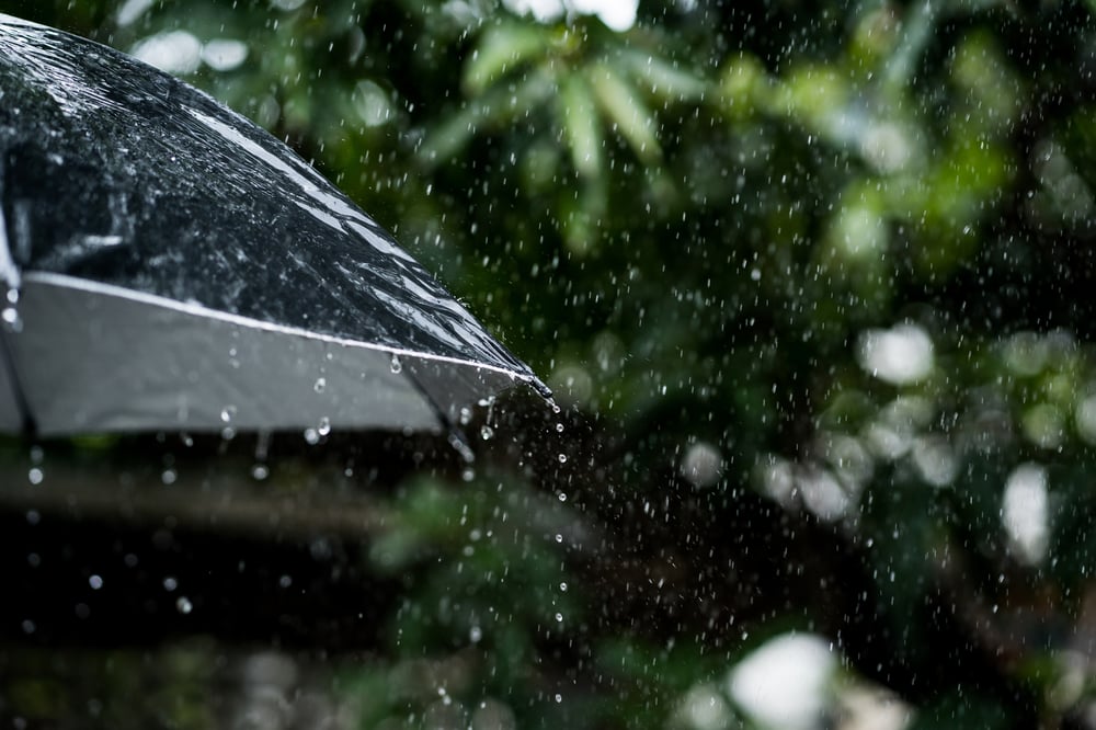 UBS’ post-reporting season picks: Why these 10 ASX stocks can weather the storm