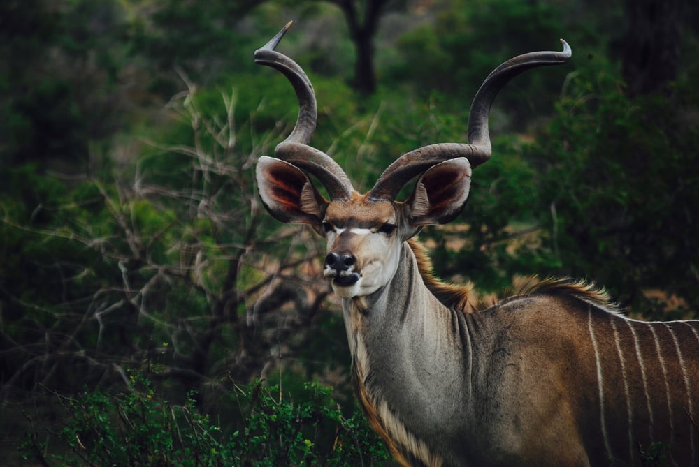 ASX-listed graphite junior inks crucial deal with Tanzanian Government