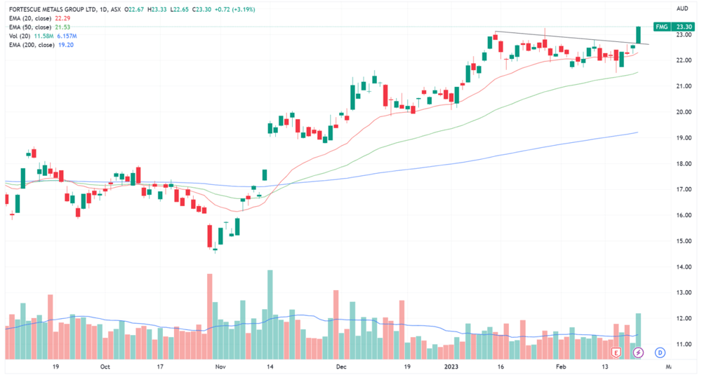 FMG chart