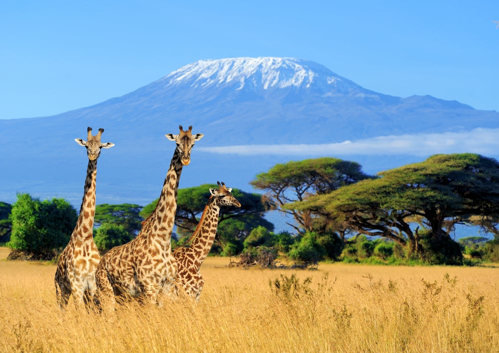 Graphite player Castle Minerals winds up latest RC drilling in Ghana, assays pending 