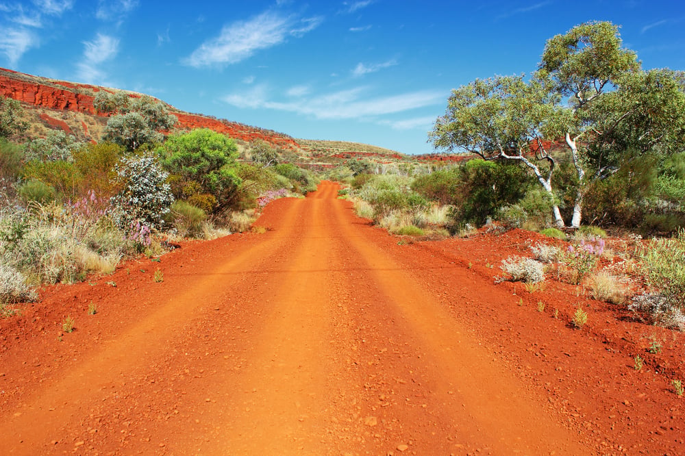 Deep Yellow wraps up first-stage exploration at Mulga Rock uranium play for rare earths
