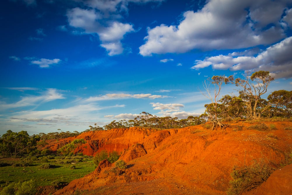 Meeka hits 98% gold recovery at WA Murchison project 