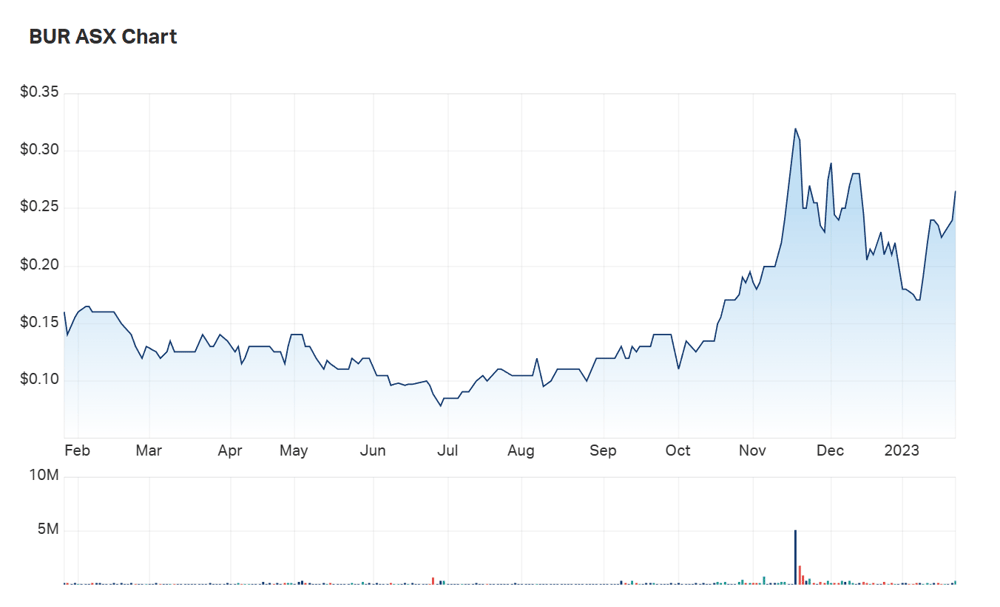 Burley Minerals' one year charts 