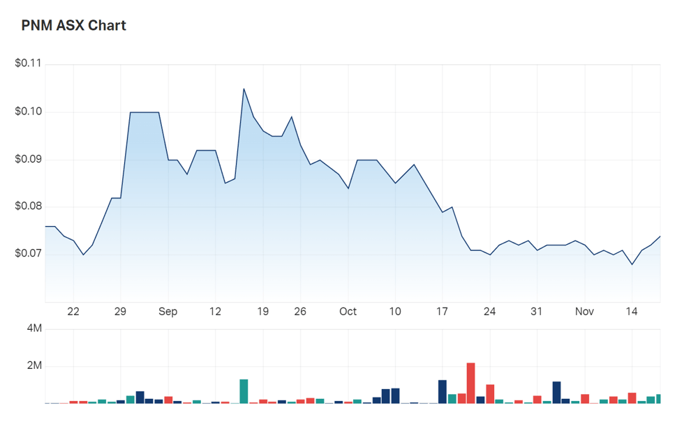 A look at Pacific Nickel's recent performance on the bourse 