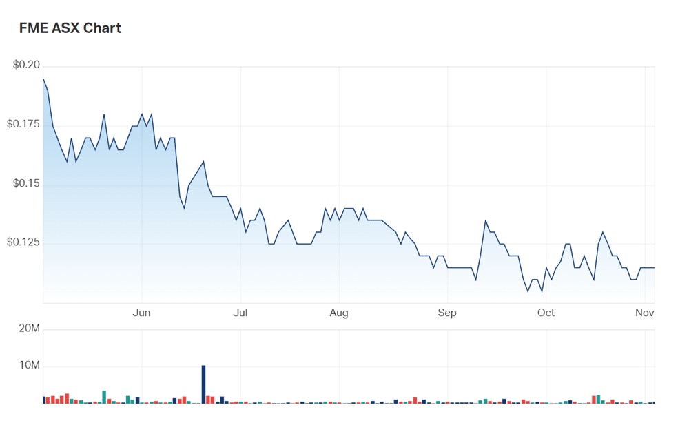 Future Metals' six month charts 
