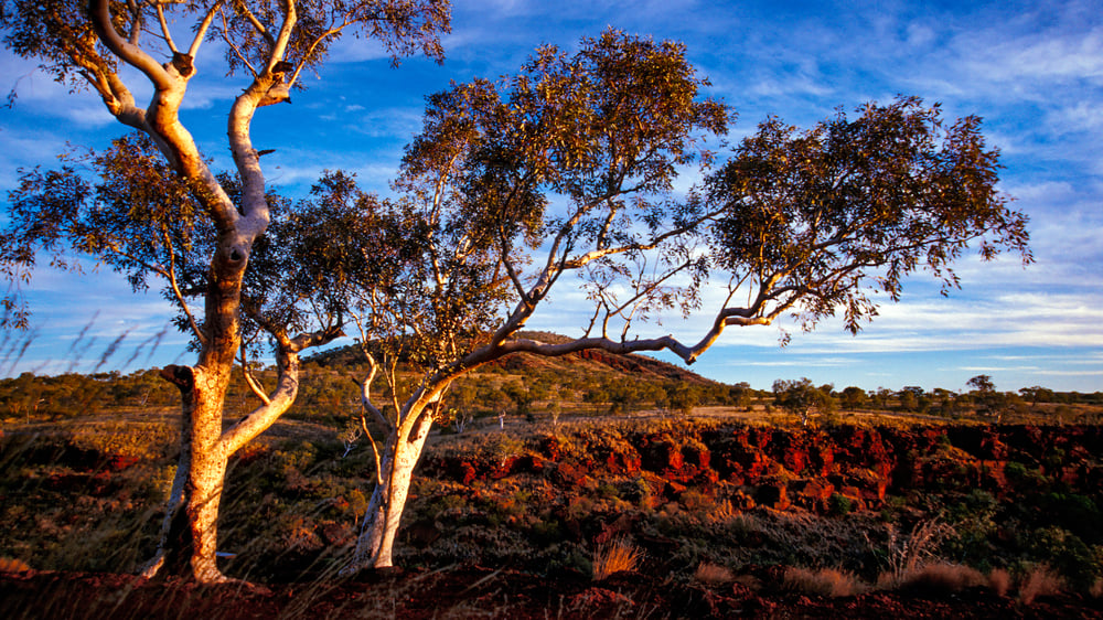 Future Metals hits visible sulphides at northern WA Panton PGM project; assays pending 