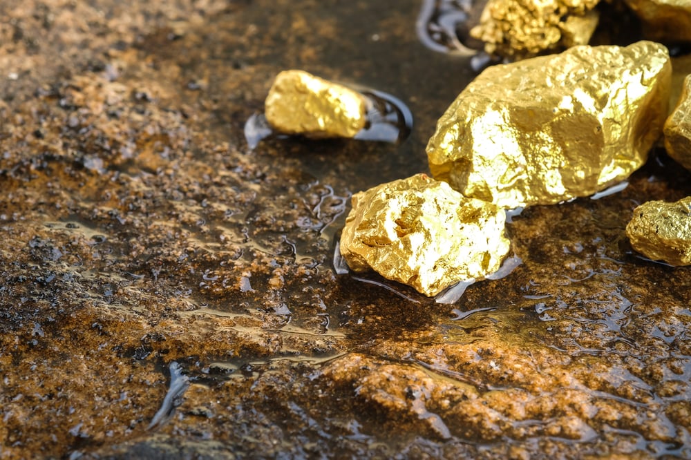Askari went looking for gold nuggets on-site the WA Horry project. It found 31