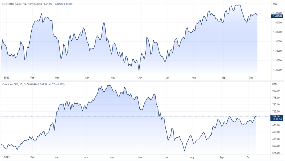 Corn and cattle price chart