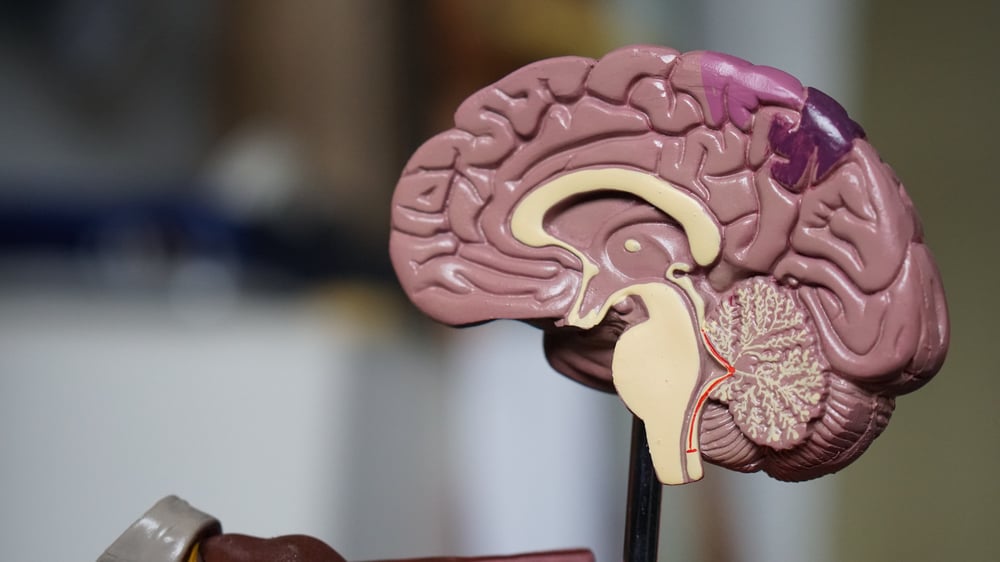 Actinogen up 30% on strong Alzheimer’s trial results, says Xanamem product can slow progression 