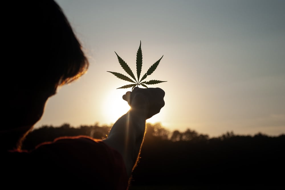 Cannabis stocks surge after Biden seeks historic marijuana reform