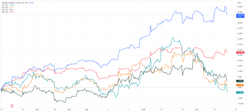 Lithium miner share price performance