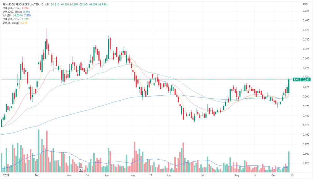 Renascor chart