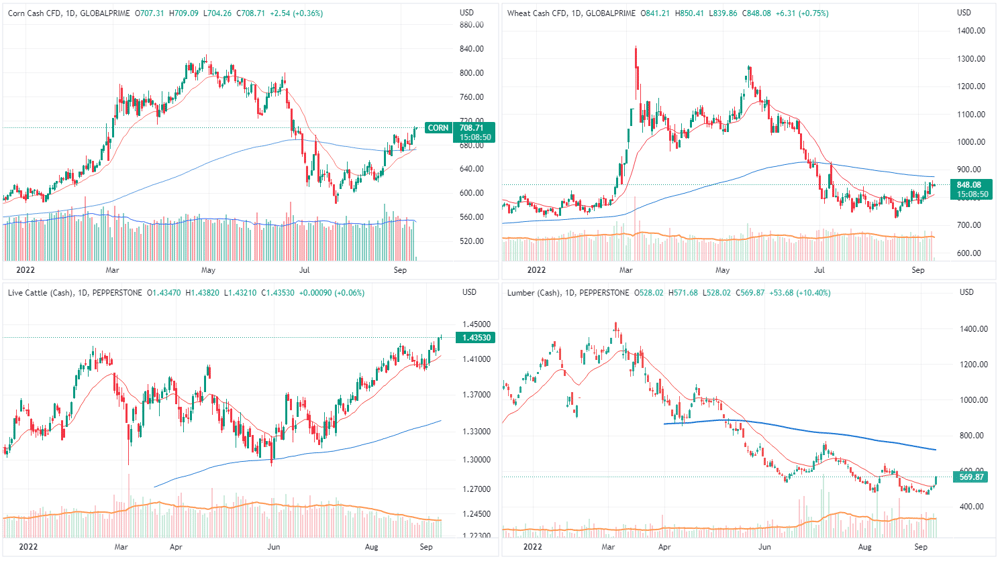 Soft commodities
