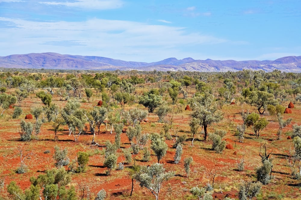 Askari has found a large field of lithium pegmatite outcrops at its NT Barrow Creek play