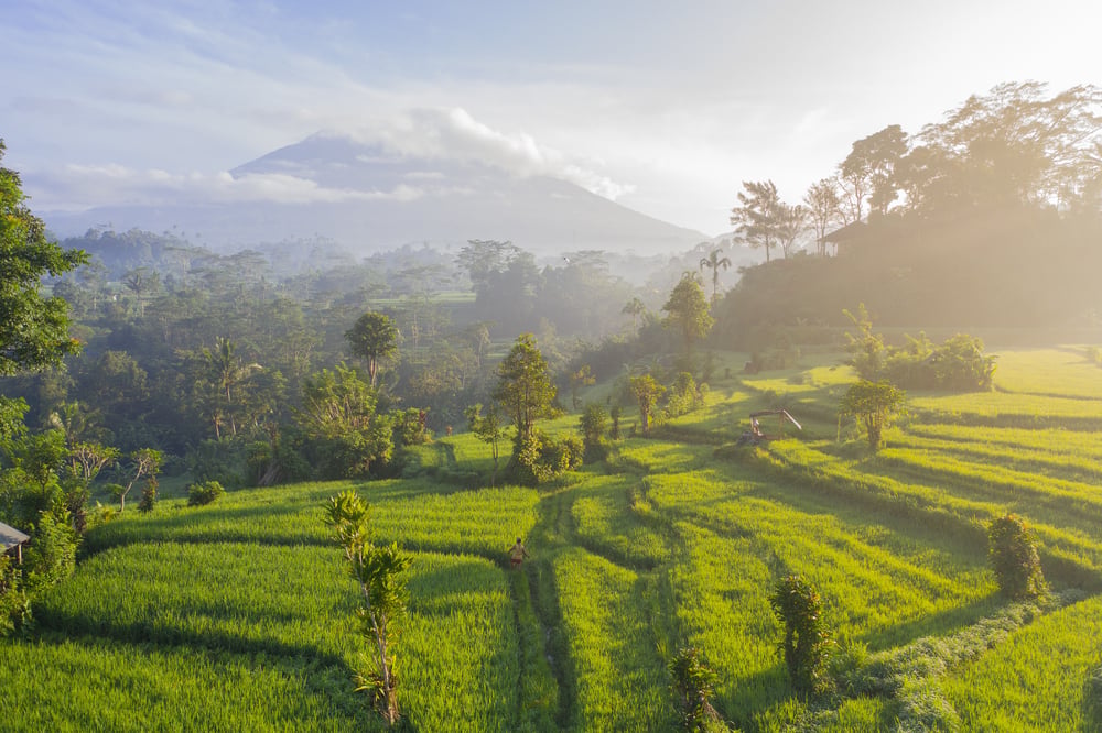 For first time in history, Far East to launch diamond drills at North Sumatra Woyla project