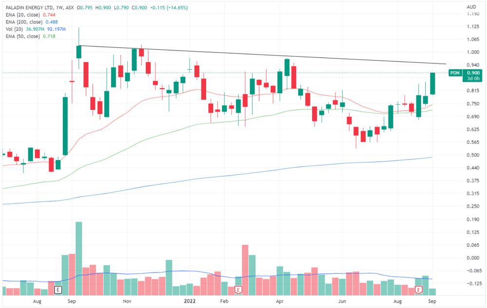 Paladin Energy share price chart