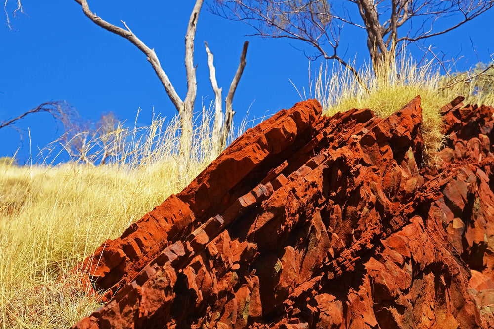 OzAurum uncovers more gold hits at Mulgabbie North’s promising virgin discovery 