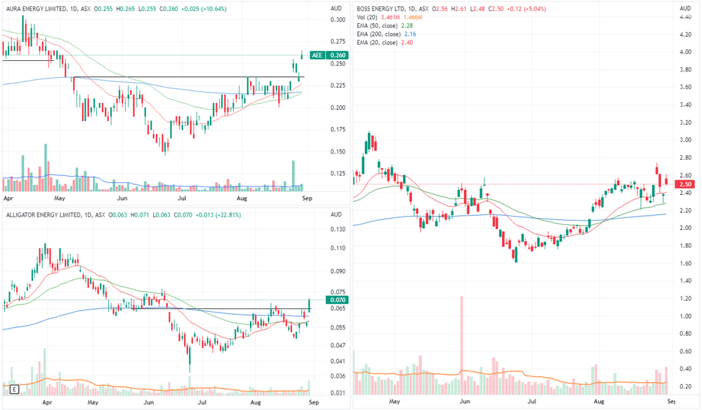 uranium stock comparison