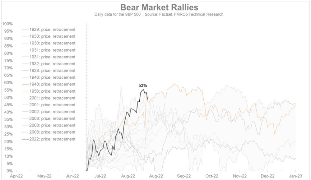 Bear market rallies