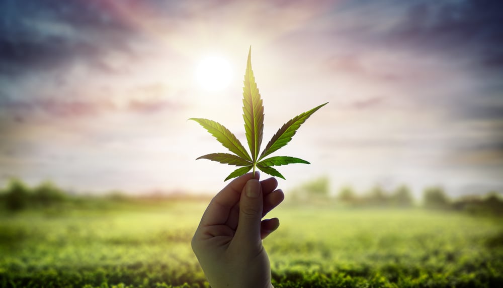 Medicinal cannabis player Bod Australia boosts US certification credentials 