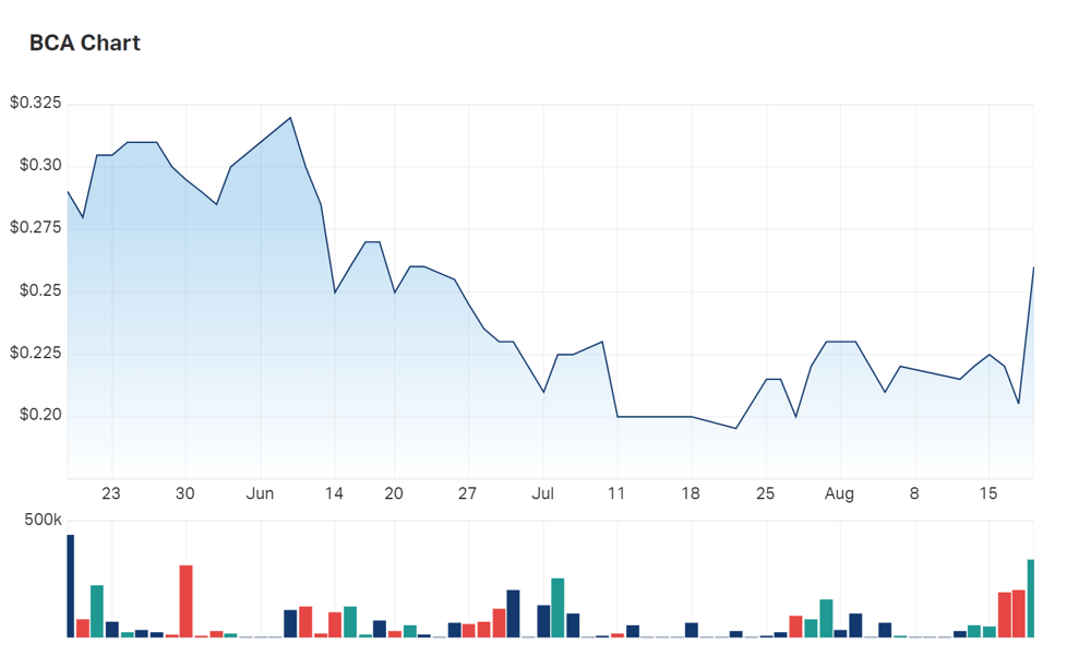 A look at Black Canyon's three month charts reveals the sharp upward reversal in interest prompted by the scoping study 