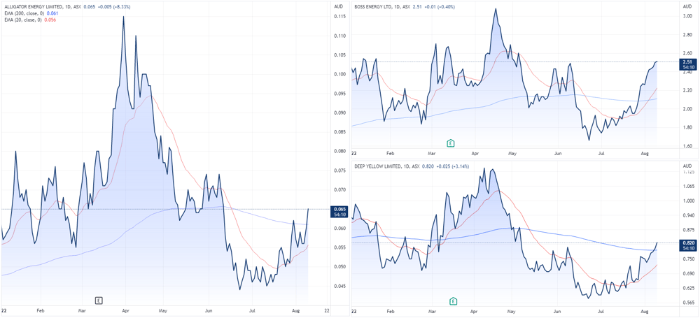 Uranium share price charts