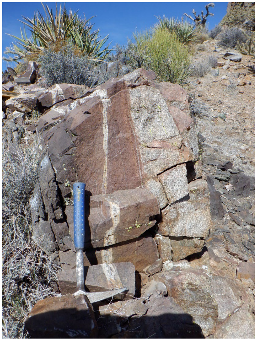 A snapshot of recent geological finds on-site Colosseum. While it may not be obvious, the thin white vertical streak is a quartz vein, often coincident with gold and REE mineralisation 