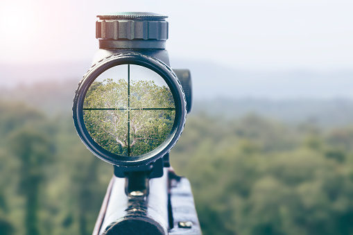 Look for stocks with pricing power during August’s reporting season: Katana Asset Management